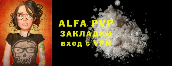 индика Абаза