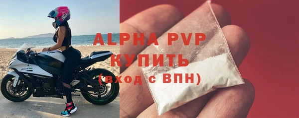 индика Абаза