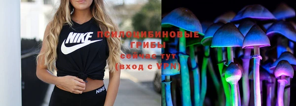 СК Алексеевка