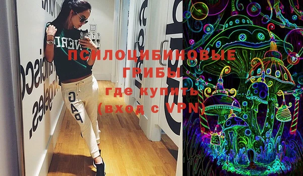 шишки Инсар