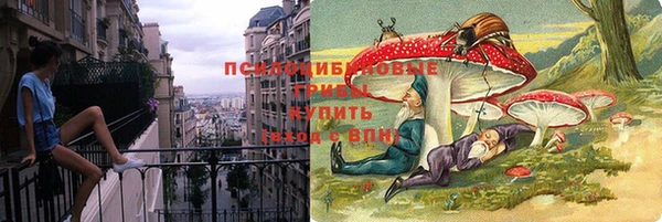 индика Абаза