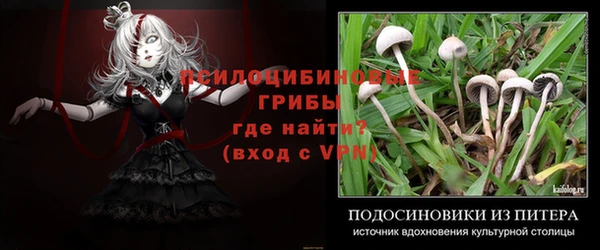 шишки Инсар