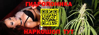 тгк Ленинск-Кузнецкий