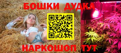 дмт Лениногорск