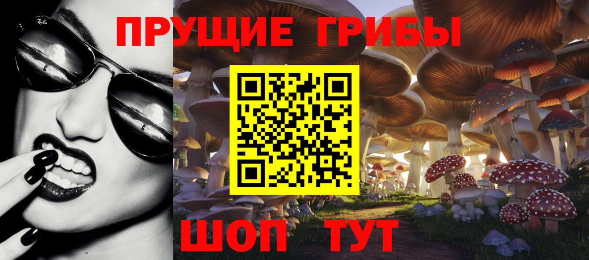 Псилоцибиновые грибы Magic Shrooms  Вход с VPN  Якутск 